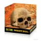  Exo-Terra Primate Skull - főemlős koponya formájú búvóhely hüllők részére (12cm)