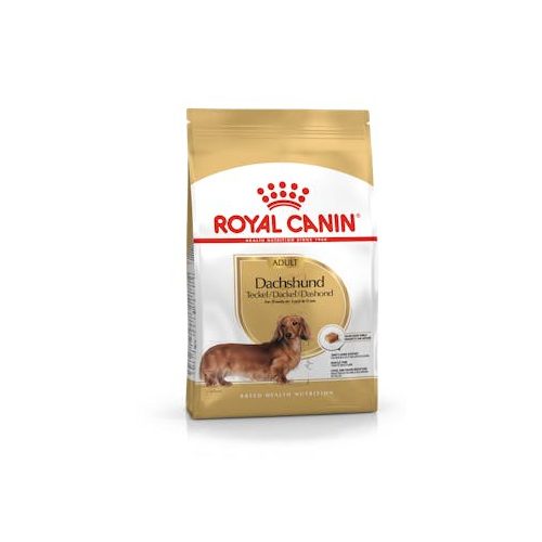 Royal Canin Dachshund adult 500gr