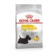 Royal Canin 8kg Mini Dermacomfort (Bőrirritációra és viszketésre hajlamos kutyáknak)