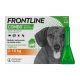 FRONTLINE Combo® Kutya 2-10 kg (1 pipetta)