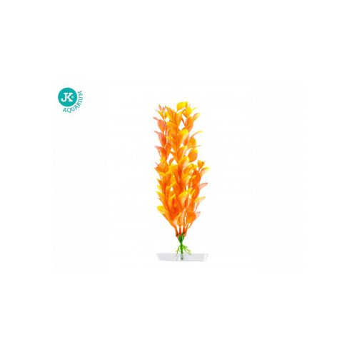 JK-Orange Ludwigia 18-21cm 18336