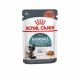 Royal Canin Hairball Care  12*85gr alutasakos macskaeledel szőrlabda képződés megelőzésére