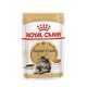 Royal Canin 12*85gr Maine Coon nedves eledel