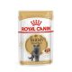 Royal Canin 12*85gr British Shorthair nedveseledel 