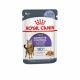 Royal Canin 12*85gr Appetite Control Care ivartalanított macskáknak, segít csökkenteni a kéregetést